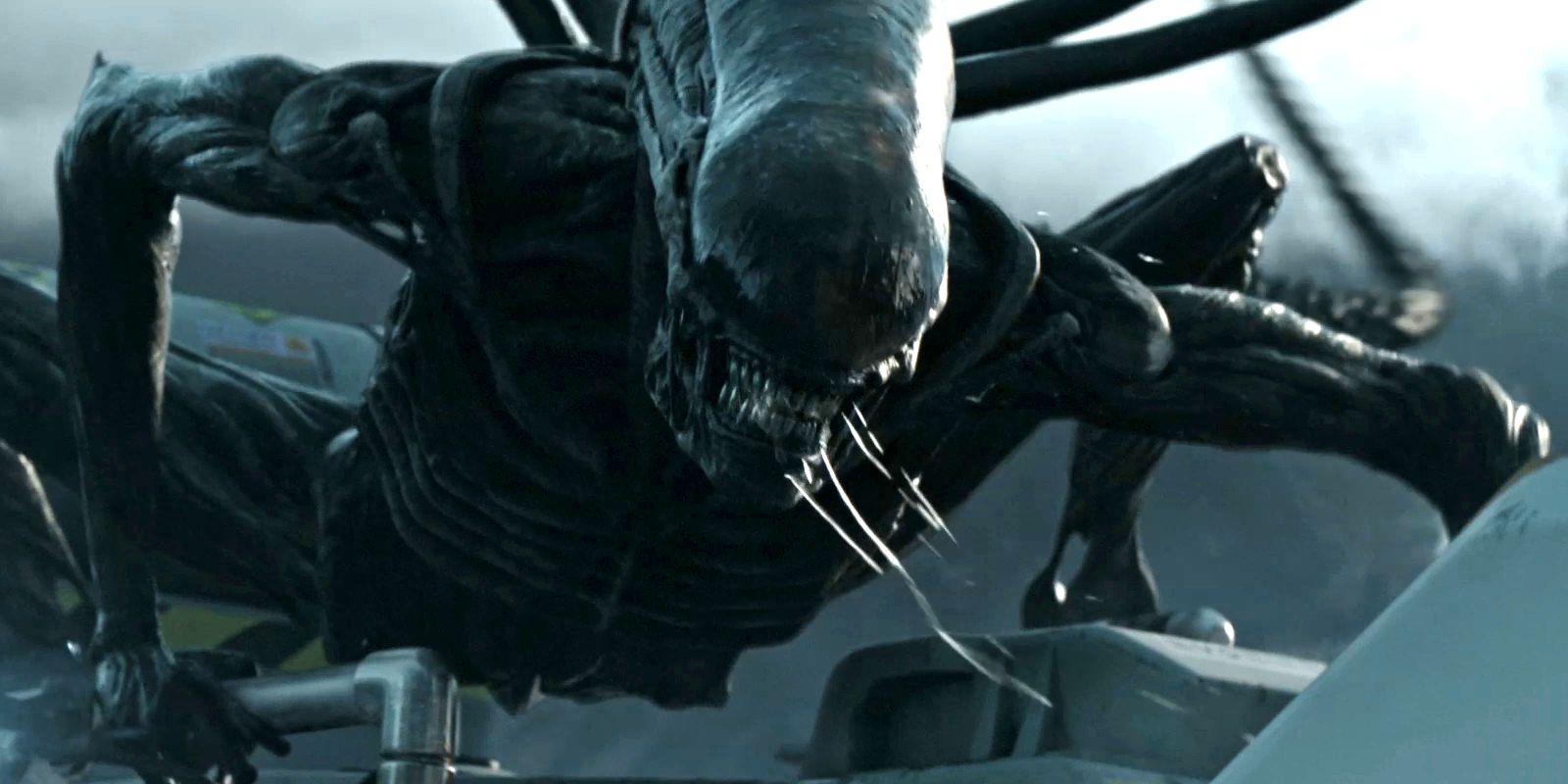 Xenomorph-in-Alien-Covenant